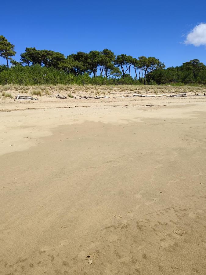 Idealement Situe, Tout A Pied, 60M2 Saint-Georges-de-Didonne Εξωτερικό φωτογραφία